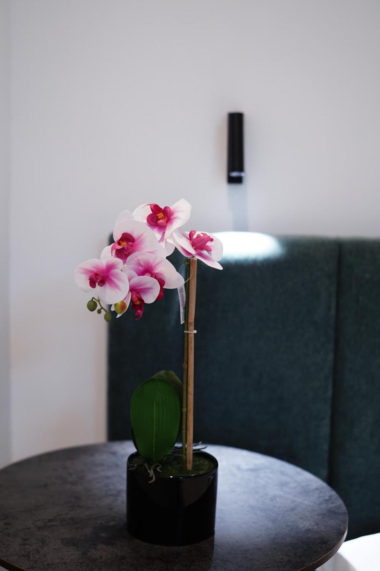Appartement Heart Of *